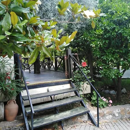 Otel Sayfiye Butik *