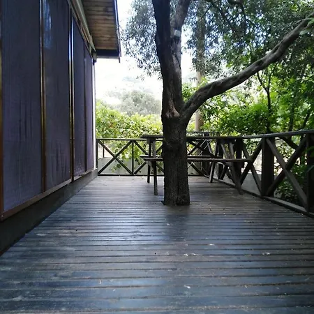Otel Sayfiye Butik *